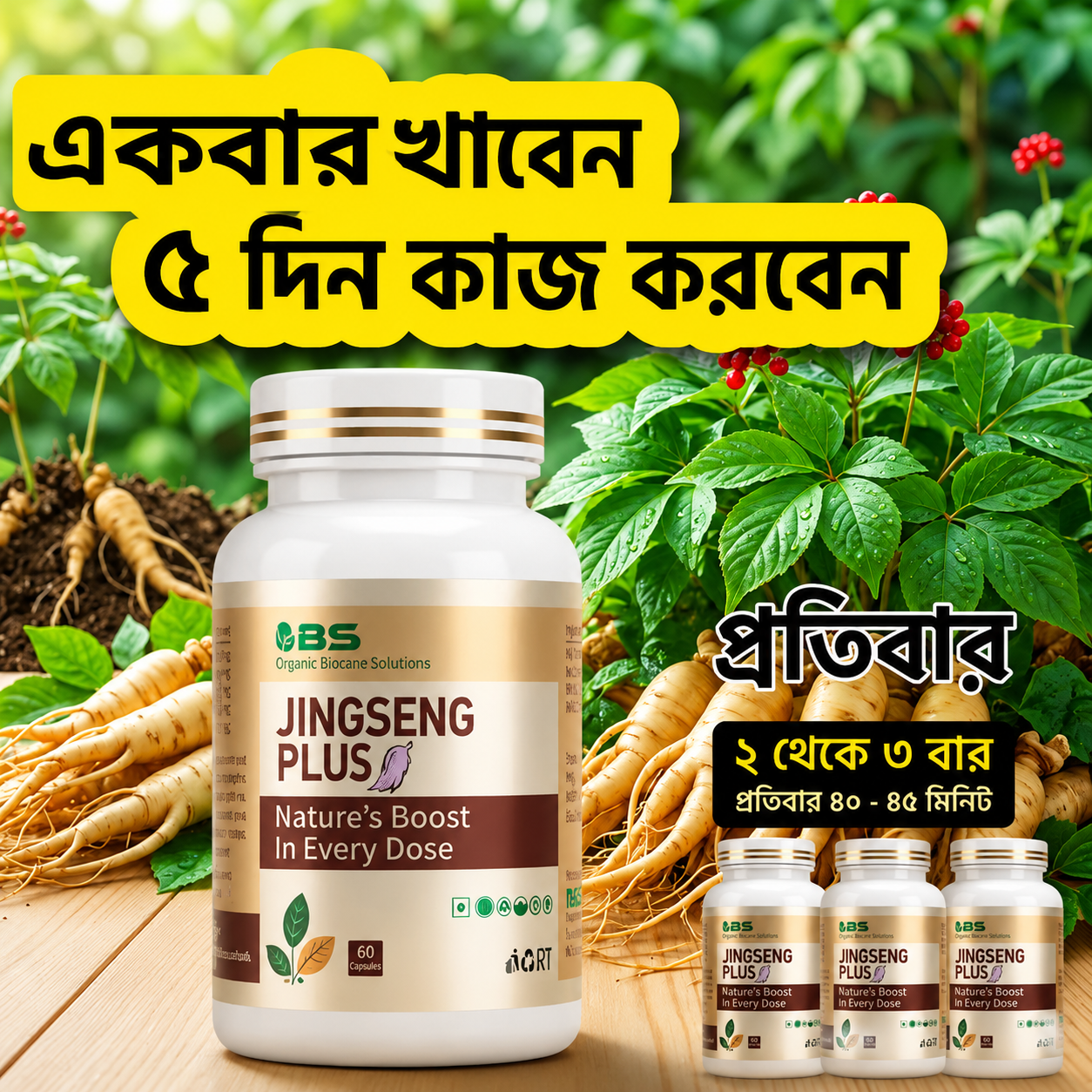 Jinseng+ | 60pc Capsule